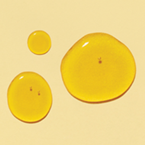 Céramides