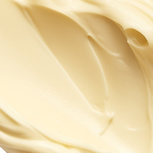Cocoa seed butter